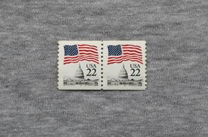USA190　アメリカ　星条旗と国会議事堂　22　1種　2枚ブロック1枚