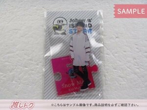 Snow Man 向井康二 アクリルスタンド Johnnys’ ISLAND STORE 2019 未開封 [美品]