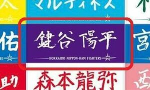 未開封新品 日本ハムファイターズ 鍵谷陽平 応援 ラベンダー カラー フェイスタオル 検索ワード エスコンフィールド北海道