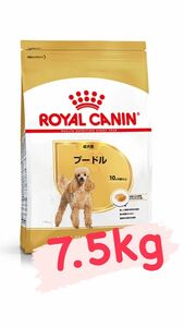 ロイヤルカナン プードル　成犬用　7.5kg