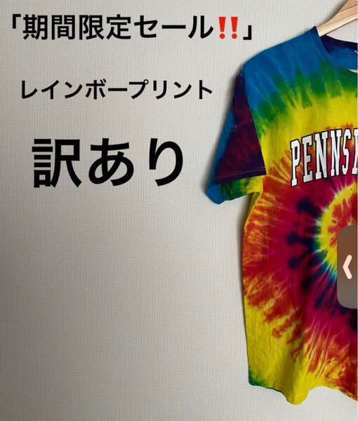 「期間限定セール!!」訳あり!レインボーカラー プリントTシャツ(L)位
