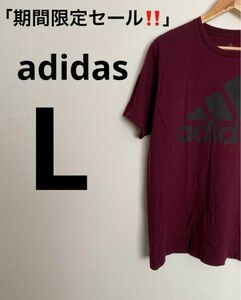 「期間限定セール！！」adidas ビックロゴ 半袖Tシャツ(L) エンジ色