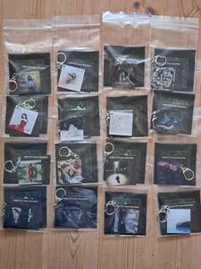 milet GREEN LIGHTS key chain Secret excepting all 16 kind 