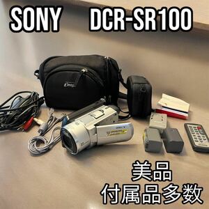 美品　SONY ビデオカメラ　DCR-sr100 バッテリー2つ