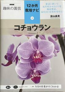 〔1H6J12B〕NHK趣味の園芸　12か月栽培ナビ3 コチョウラン　富山昌克