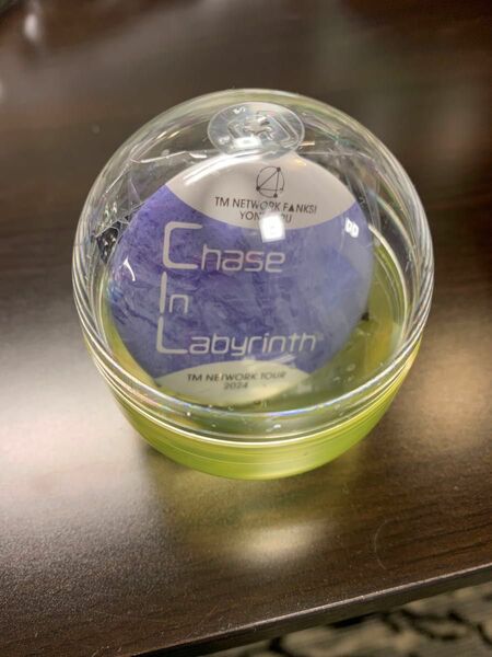 TM NETWORK 40th YONMARU カプセルトイ 会場限定ガチャ 缶バッジ Chase In Labyrinth