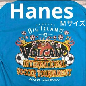 Hanes ヘインズ Tシャツ M メンズ