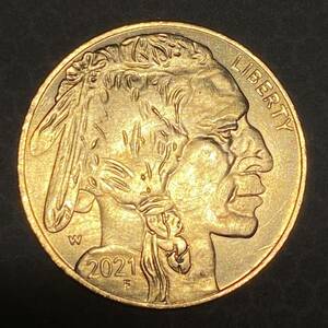 アメリカ古銭　アメリカ先住民ヘッド　約11.87g w2021f リバティ　一円貨幣　硬貨骨董品コインコレクション