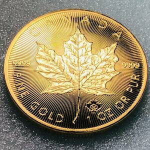  gold coin Canada old coin maple gold coin reference goods approximately 29.89g 2021 one jpy money coin antique goods coin collection 