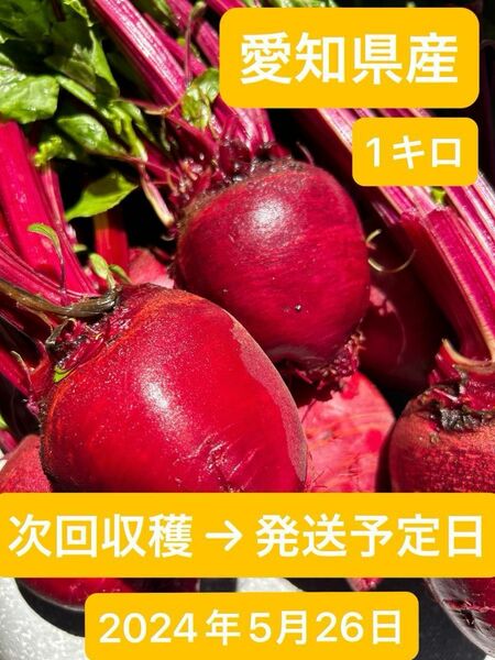 【農家直送】最強のスーパーフードビーツ　1キロ （愛知県産・ビーツ）