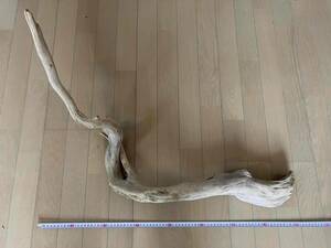  driftwood 7