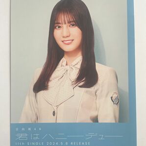 小坂菜緒　日向坂46 君はハニーデュー　シブツタ　フライヤー