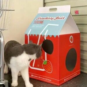 猫の爪とぎ スクラッチBOX 