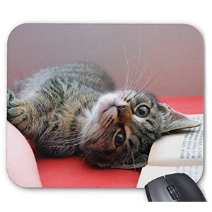  pretty cat. mouse pad : photo pad ( world. cat series )