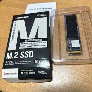biostar m2 ssd 512GB NVMe SSD