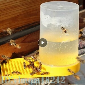 Bf1785: Bee 養蜂 ミツバチ 餌箱 水の散水 ツール プラスチックの蜂の餌 ハチ エサ 蜂蜜 蜜蝋 蜂 水 セット ツール 巣箱 ハニー キット