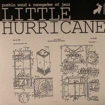 ★新品即決★オランダ産高速ジャズブレイクビーツ！Pushinwood & Renegades Of Jazz / Little Hurricane