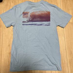 パタゴニア　Patagonia Tシャツ　ハワイ限定Tシャツ