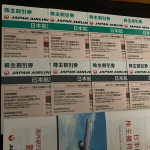 JAL акционер льготный билет 8 листов 