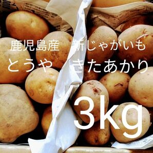 鹿児島産新じゃがいも　とうや　きたあかり　合計3kgセット　栽培期間中農薬不使用