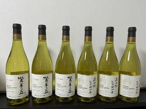 白ワイン　飲み比べ6本セット