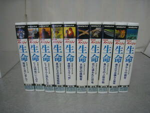 NHK специальный жизнь 40 сто миллионов год. .... все 10 шт VHS видео 