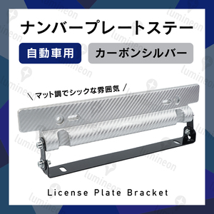 車用 ナンバー プレート ステー カーボン調 斜め ナンバー 角度ステー 隠し ナンバー かくし 角度調整ステー 自動車 用 g075f 2