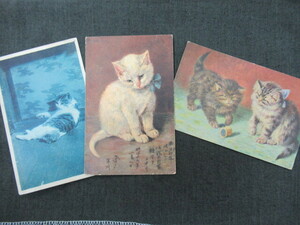  war front *[ cat ] picture postcard 3 sheets 