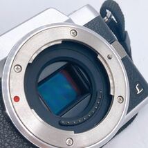 1円〜 Panasonic/パナソニック Lumix DMC-GF7 ミラーレス一眼 デジタルカメラ ボディ 動作確認済み _画像3