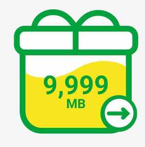 マイネオパケットギフト 約10GB(9,999MB) ①