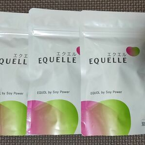 大塚製薬　EQUELLE エクエル　パウチタイプ　120粒　30日分　3袋