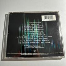 【中古輸入盤】 Ａｆｆｉｒｍａｔｉｏｎ／サヴェージガーデン_画像2