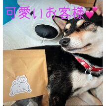 一人のお客様を大切にしたい★鹿肉ジャーキー100g★食べ応え十分!★愛犬のおやつ_画像8