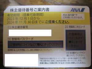 ANA(全日空)株主優待券1枚 2024年11月30日有効　普通郵便なら送料無料