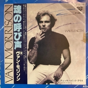 【コピス吉祥寺】VAN MORRISON/魂の呼び声(P353W)