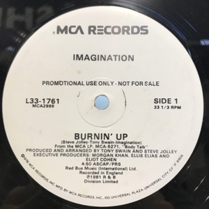 【HMV渋谷】IMAGINATION/BURNIN' UP(L331761)