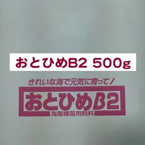 日清丸紅飼料 おとひめB2 500g メダカ 熱帯魚 金魚 グッピー ※送料無料※