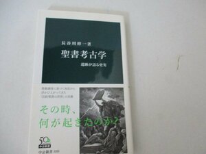 S・聖書考古学・長谷川修一・中公新書・2013