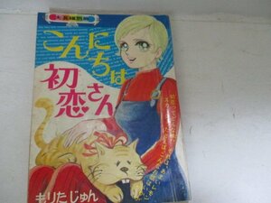 漫画付録・こんにちは、初恋さん・もりたじゅん・りぼん・二月号