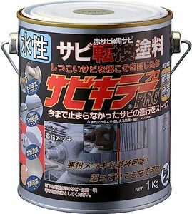 シルバー 1KG プロ 770026 サビキラー 1kg シルバー