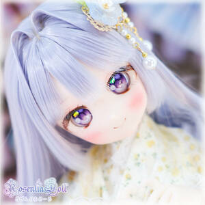 Art hand Auction [RosenliaDoll] DDH-27 Custom Head Volks SW Skin (Semi-White Skin) Head + 1 Resin Eye + Bonus (Wig), doll, Character Doll, Dollfie Dream, parts