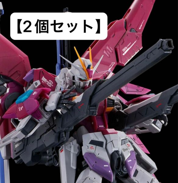 【2個セット】 ＲＧ 1/144 デスティニーインパルス 機動戦士ガンダムSEED DESTINY MSV ディスティニー