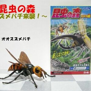 【レア】昆虫の森 オオスズメバチ 食玩 希少品