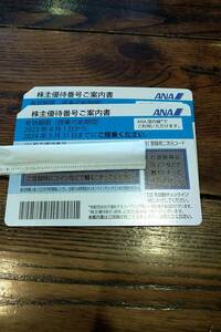 速達送料込み☆ANA全日空 株主優待券　13枚セット　2024年5月31日まで有効