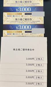 【グローバルWiFi 】　ビジョン株主優待　30000円分（3000円券10枚）コード通知にて発送