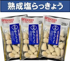 【宮崎のお漬物】熟成・塩らっきょう（塩漬け）90g 3袋 上沖産業さっぱり塩味