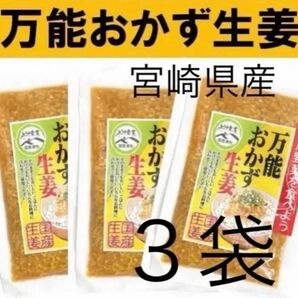 【宮崎のお漬物】万能おかず生姜　130ｇ×3袋 上沖産業