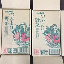 送料無料・匿名配送・即決　カゴメ　つぶより野菜　195g 15本入り×2箱_画像1