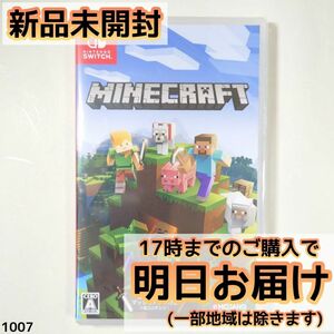 Switch マインクラフト Minecraft