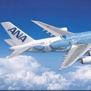 ANA 30000マイル 最短2日 全日空 全日本空輸 JAL ポイント 航空券 株主優待券